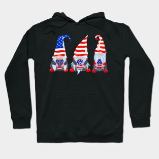 4th of july gnome Hoodie